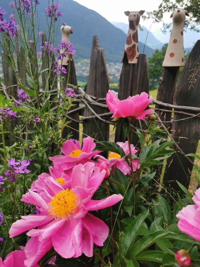 Wieserhof Tirol Oetz Buitenkant foto