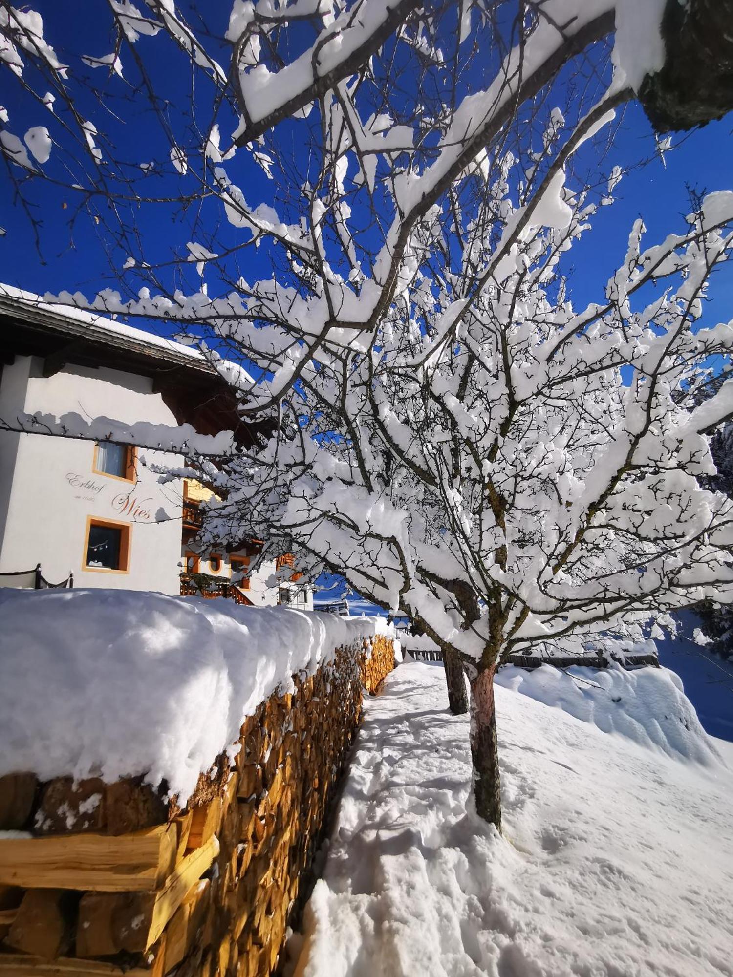Wieserhof Tirol Oetz Buitenkant foto