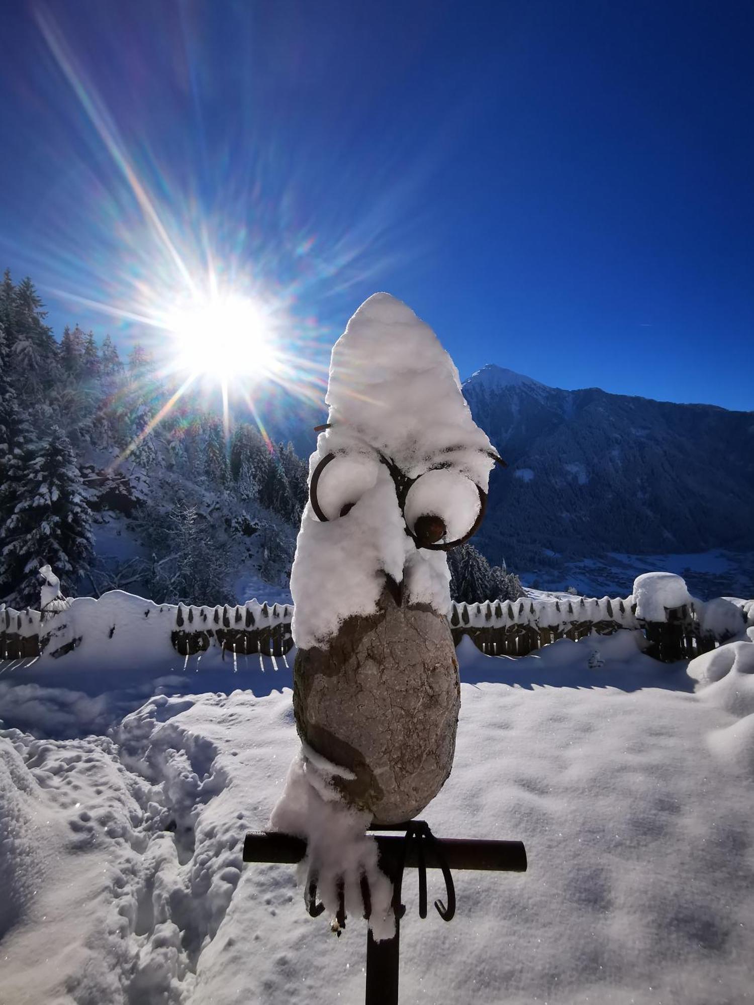 Wieserhof Tirol Oetz Buitenkant foto