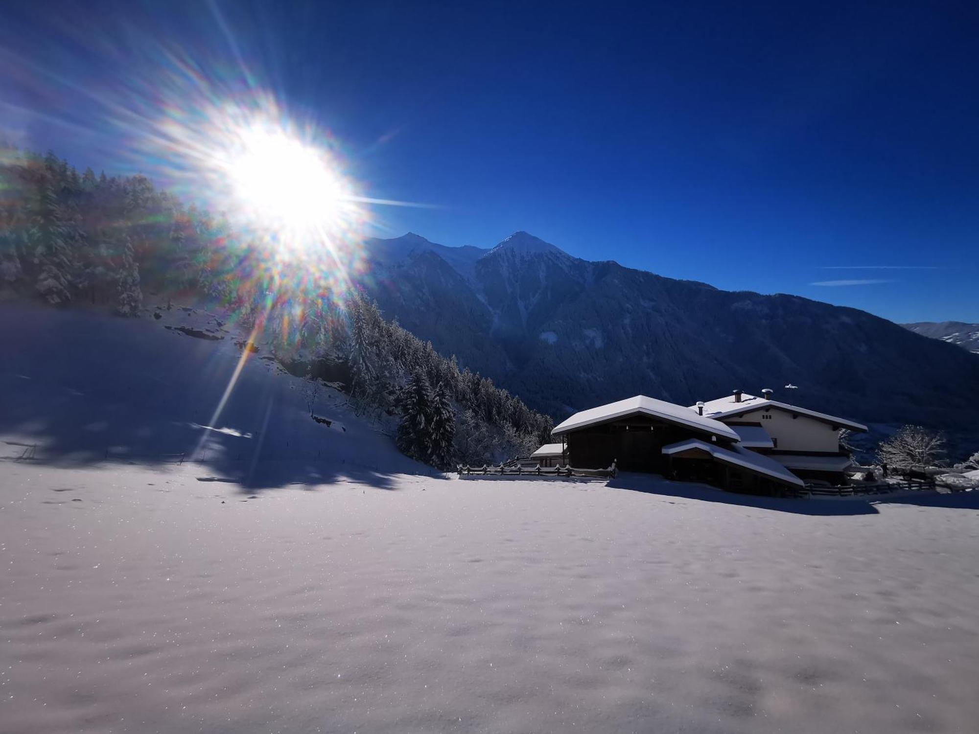 Wieserhof Tirol Oetz Buitenkant foto